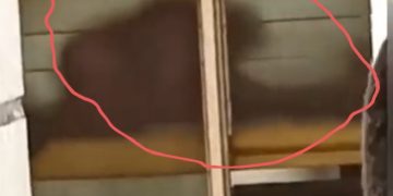 Video Of Guy And Lady Busily E@ting Themselves In Varsity Hostel Hot Afternoon Hit Social Media