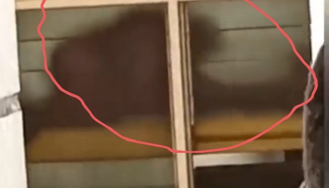 Video Of Guy And Lady Busily E@ting Themselves In Varsity Hostel Hot Afternoon Hit Social Media