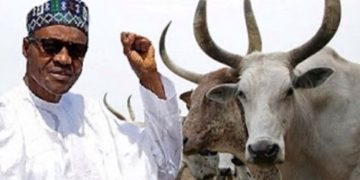 Cattle And Sheep Easier To Control Than Nigerians–President Buhari