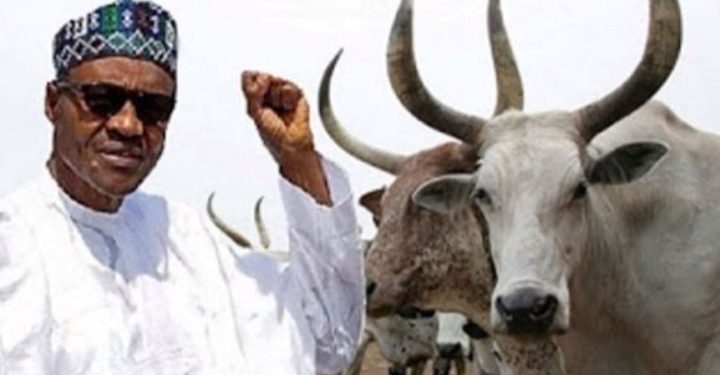Cattle And Sheep Easier To Control Than Nigerians–President Buhari