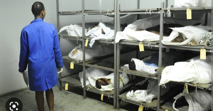 Social Media On Fire As President Akufo-Addo Appoints ‘Minister’ For Mortuary And Funeral Affairs