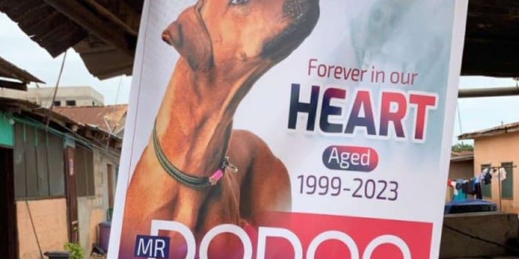 Shocking As Ghanaian Man Organises Big Funeral For His Dog