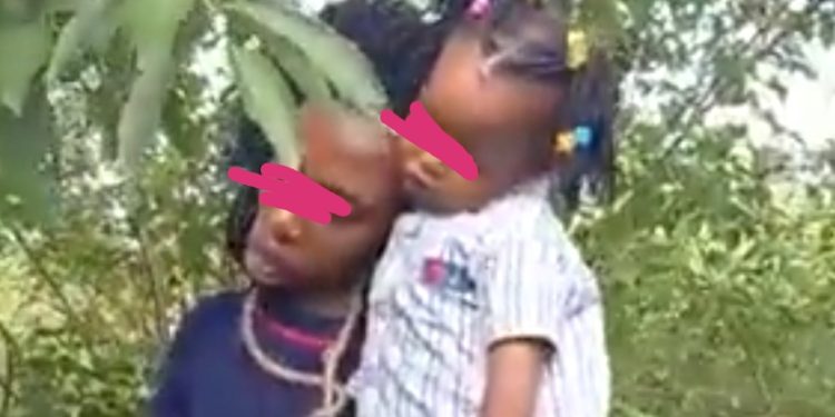 Sad Video:Woman Kills Little Daughter And Commit Suicide