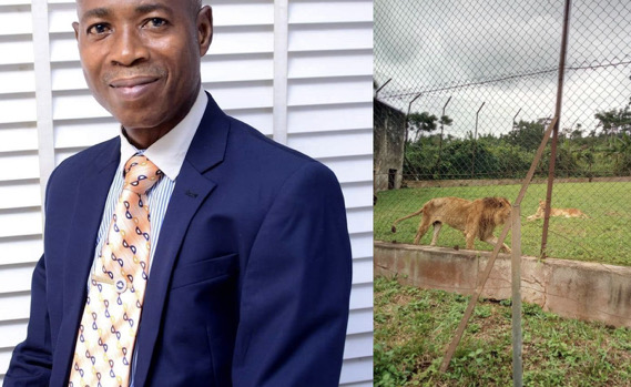 Lion Kills Zookeeper During Feeding