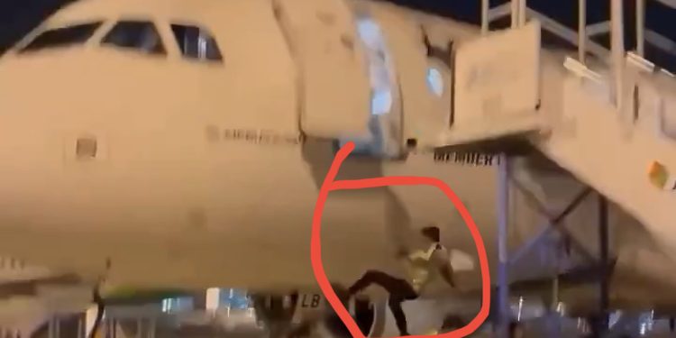 Sad Video: Airport Worker Falls From Aircraft