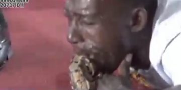 Man Vomits Python In Church During Deliverance Service—Watch Viral Video