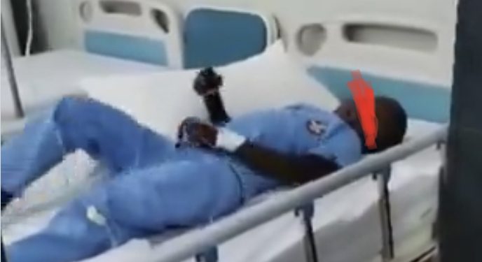 Boy In Critical Condition At The Hospital After Strange Dog Bit Him—Video