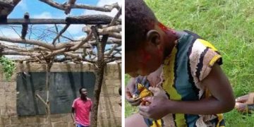 Primary School Girl In Critical Condition After An Uncompleted Classroom Building Fell On Her