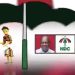 Social Media Users React As NDC Releases Official Victory Song For 2024 Elections