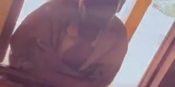 Frustrated Female Teacher Shares Video On How Mentally Challenged Man Always Storms Her Class To Propose Love To Her