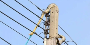 Unbelievable! Snake Causes Power Outage In Ashanti Region. Here’s Photo Of The Snake Hanging On The Electric Pole