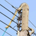 Unbelievable! Snake Causes Power Outage In Ashanti Region. Here’s Photo Of The Snake Hanging On The Electric Pole