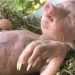 Shocking! Half-Pig, Half-Human Baby Born In Kenya—Exclusive Photo