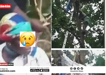 50-Year-Old Woman Believed To Be A Witch Gets Stuck On Avocado Tree in Kumasi–Video