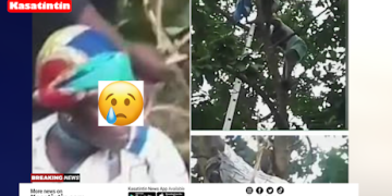 50-Year-Old Woman Believed To Be A Witch Gets Stuck On Avocado Tree in Kumasi–Video