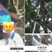 50-Year-Old Woman Believed To Be A Witch Gets Stuck On Avocado Tree in Kumasi–Video