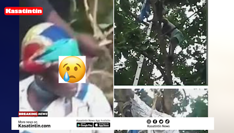 50-Year-Old Woman Believed To Be A Witch Gets Stuck On Avocado Tree in Kumasi–Video
