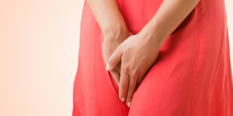 The Clitoris: All You Need To Know About This Sensitive Female Organ